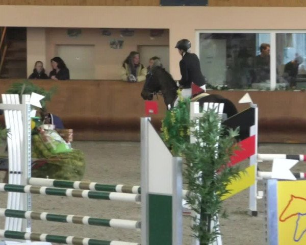 Reitturnier Dettingen 2020