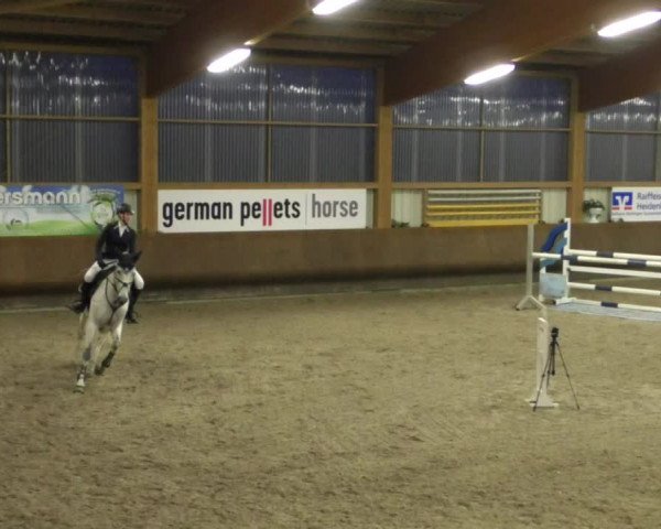 Reitturnier Dettingen 2020