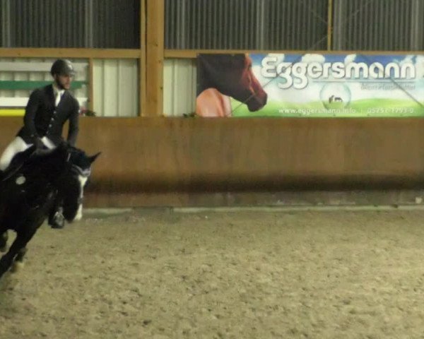 Reitturnier Dettingen 2020