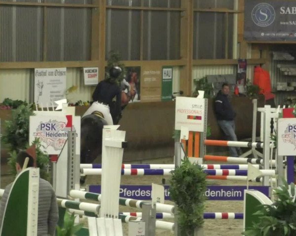 Reitturnier Dettingen 2020