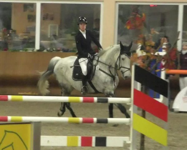 Reitturnier Dettingen 2020