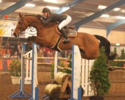 broodmare Cacharelle (Belgian Warmblood, 2006, from Chacco-Blue)