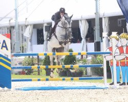 Deckhengst Ultra Blue J (Belgium Sporthorse, 2004, von Mr Blue)