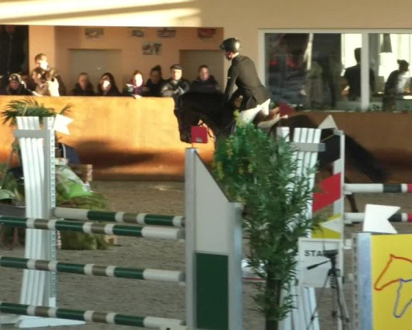 Reitturnier Dettingen 2020