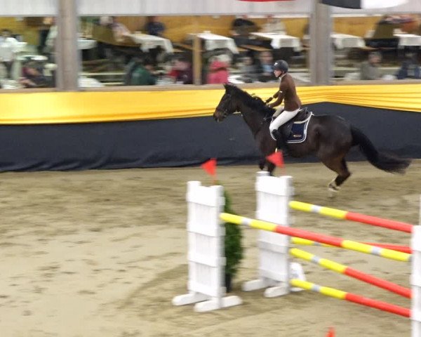 Reitturnier Erlen 2020