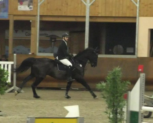 Reitturnier Dettingen 2020