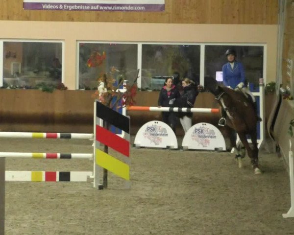 Reitturnier Dettingen 2020