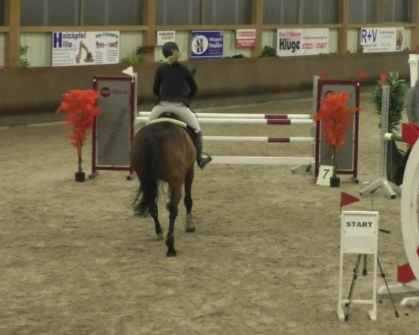 Reitturnier Dettingen 2020