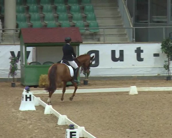 Reitturnier Kreuth/Opf. 2020