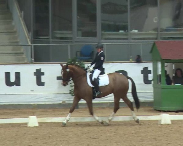 Reitturnier Kreuth/Opf. 2020