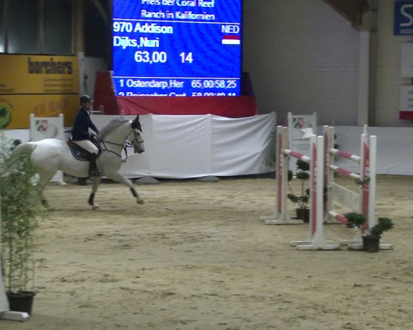 Reitturnier Borken 2020