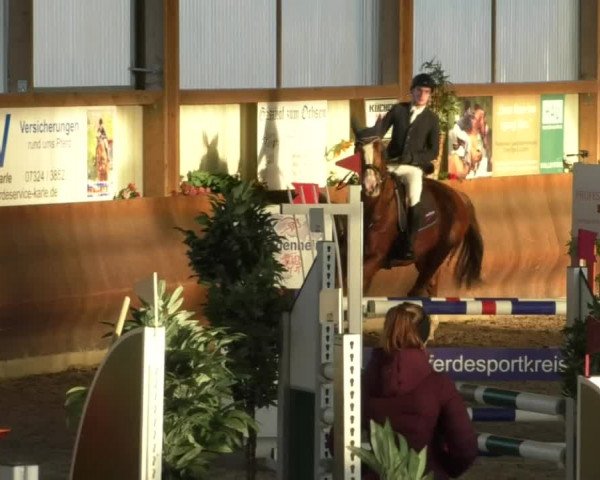 Reitturnier Dettingen 2020
