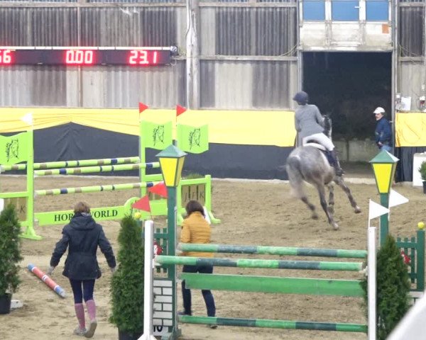 Reitturnier Erlen 2020