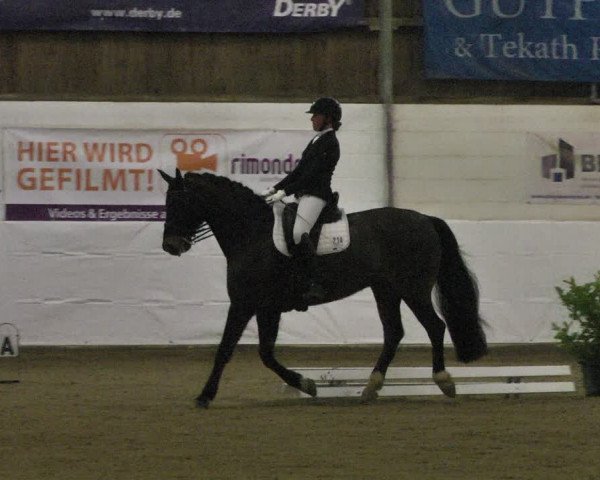 Reitturnier Viernheim 2020