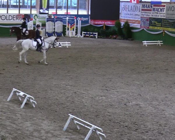 Reitturnier Keppeln - Reitanlage "Hötzenhof" 2020