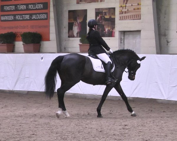 Reitturnier Viernheim 2020