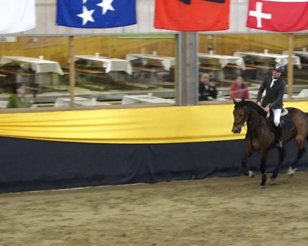 Reitturnier Erlen 2020