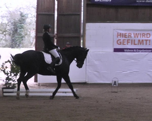 Reitturnier Viernheim 2020