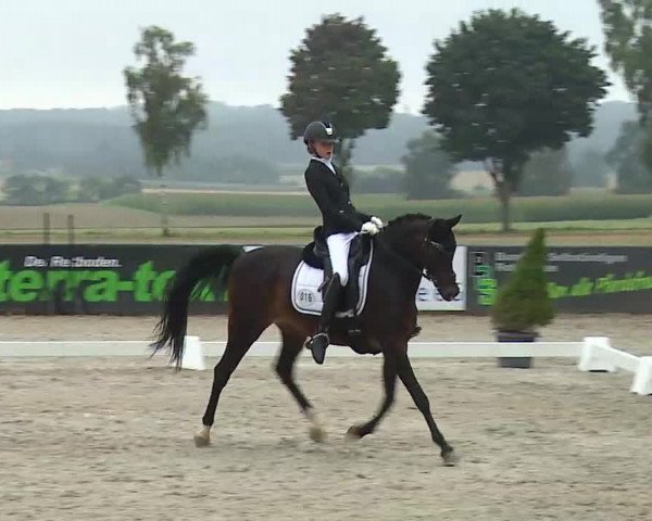 Süddeutsche Ponymeisterschaften Rot am See- Musdorf 2021