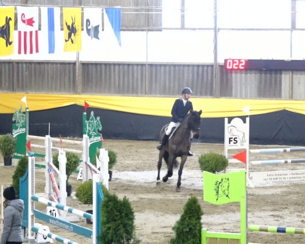 Reitturnier Erlen 2020