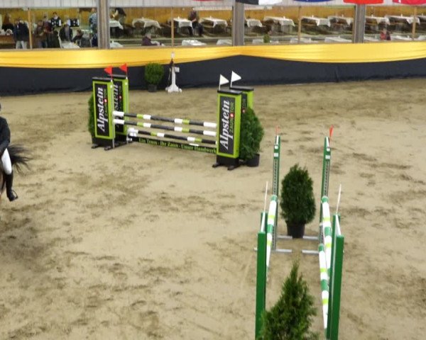 Reitturnier Erlen 2020