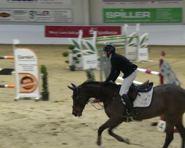 Reitturnier Borken 2020