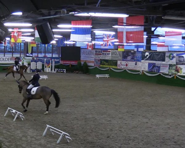 Reitturnier Keppeln - Reitanlage "Hötzenhof" 2020