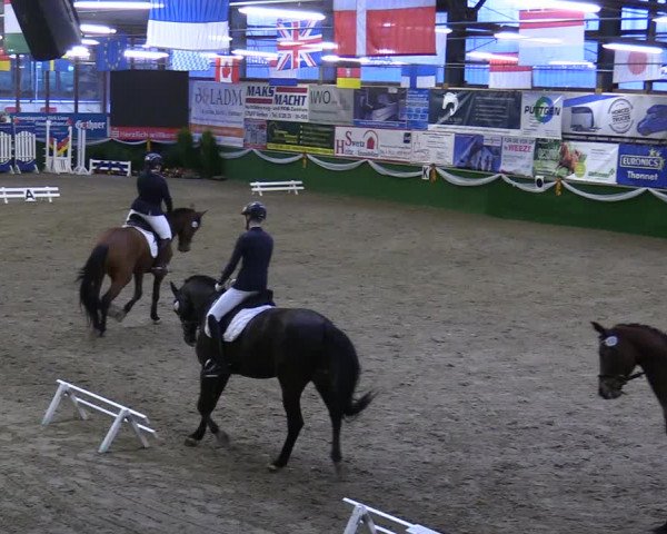 Reitturnier Keppeln - Reitanlage "Hötzenhof" 2020