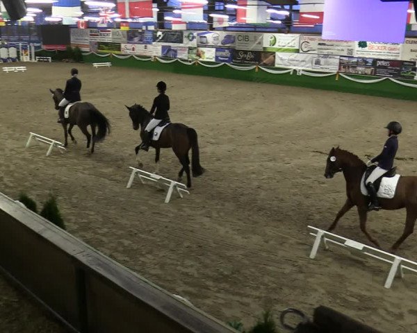 Reitturnier Keppeln - Reitanlage "Hötzenhof" 2020