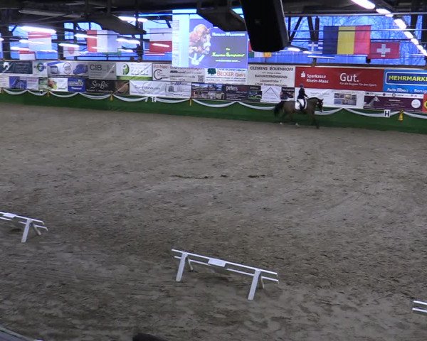 Reitturnier Keppeln - Reitanlage "Hötzenhof" 2020