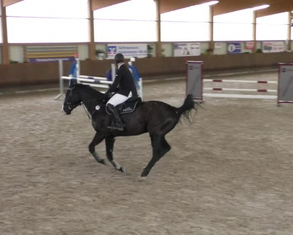Reitturnier Dettingen 2020