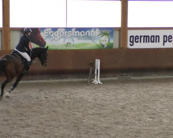 Reitturnier Dettingen 2020