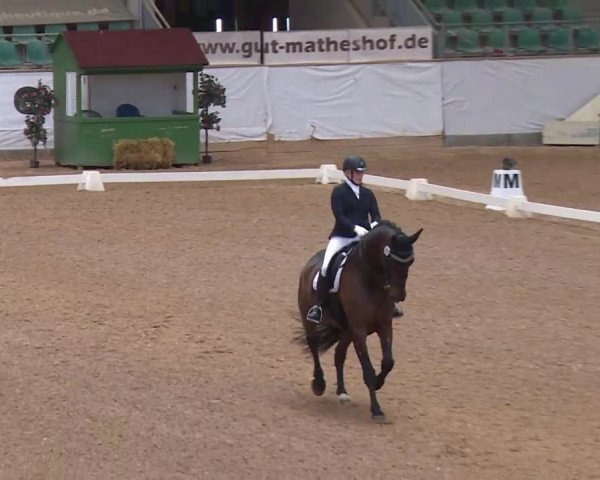 Reitturnier Kreuth/Opf. 2020