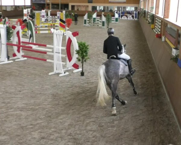 Reitturnier Dettingen 2020