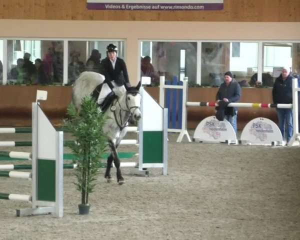Reitturnier Dettingen 2020