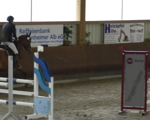 Reitturnier Dettingen 2020