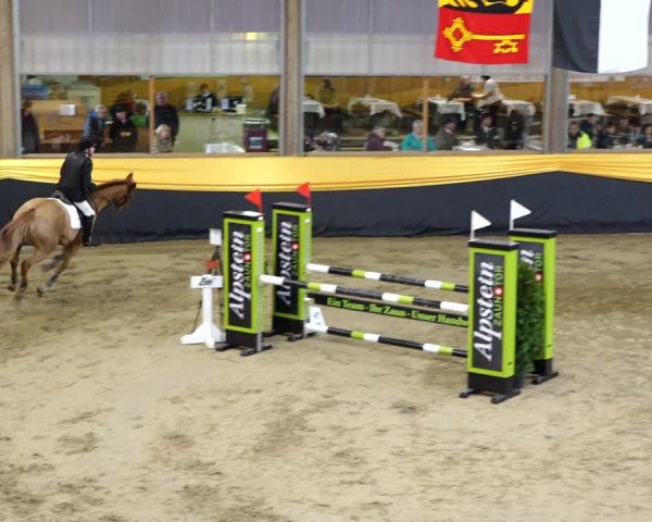 Reitturnier Erlen 2020