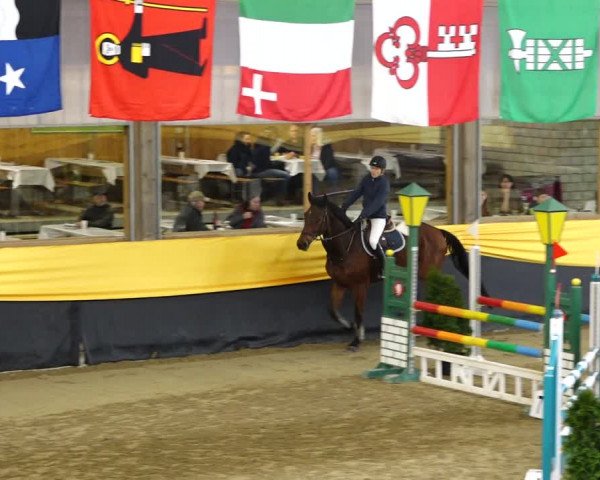 Reitturnier Erlen 2020