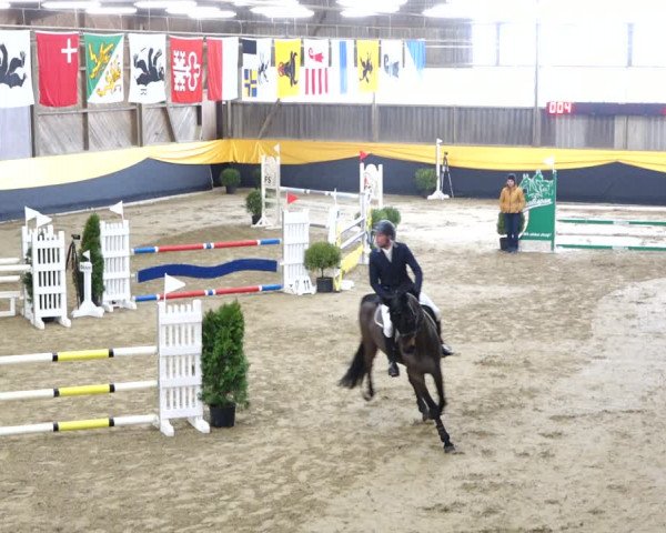 Reitturnier Erlen 2020