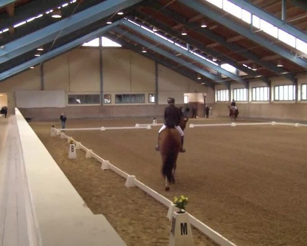 Reitturnier Kreuth/Opf. 2020