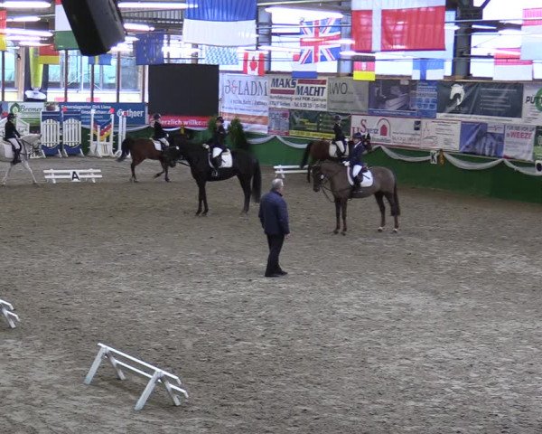 Reitturnier Keppeln - Reitanlage "Hötzenhof" 2020