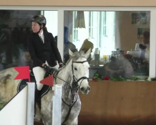 Reitturnier Dettingen 2020