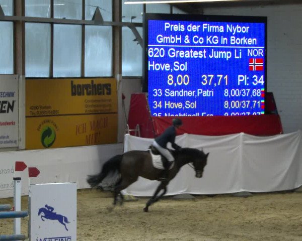 Reitturnier Borken 2020