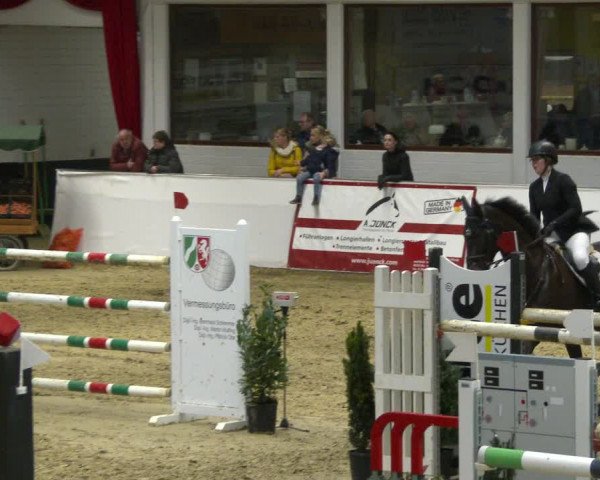 Reitturnier Borken 2020