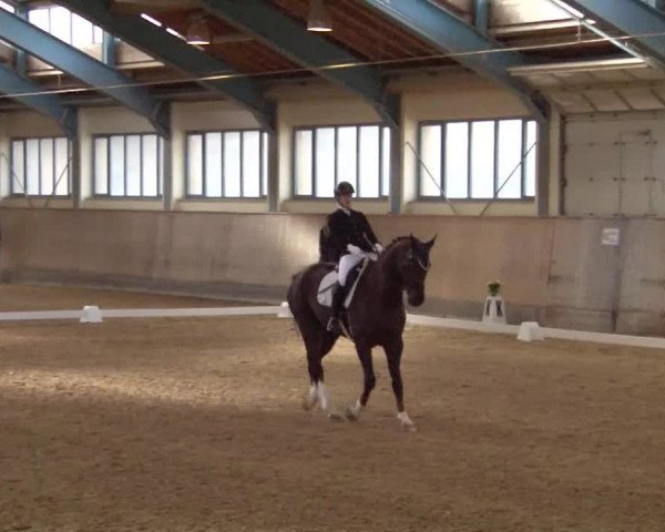 Reitturnier Kreuth/Opf. 2020