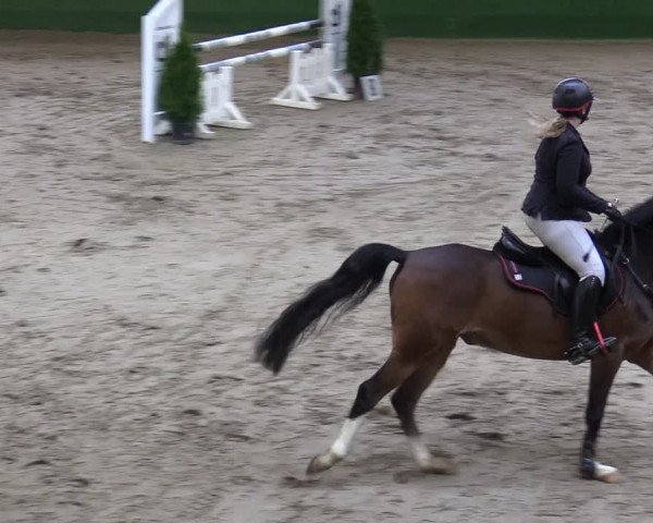 Reitturnier Keppeln - Reitanlage "Hötzenhof" 2020