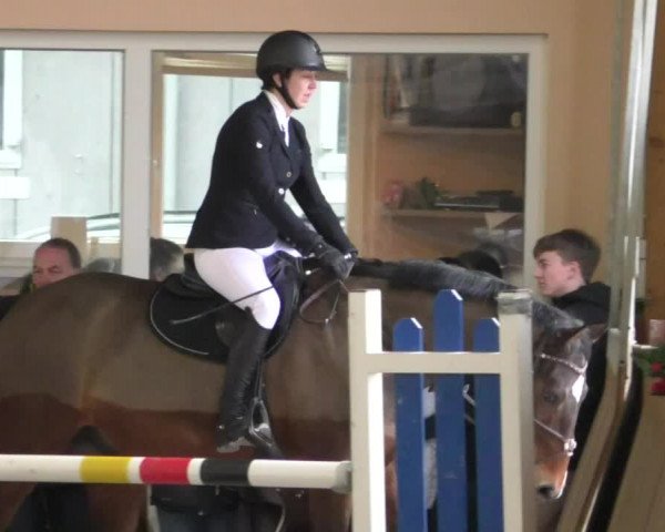 Reitturnier Dettingen 2020