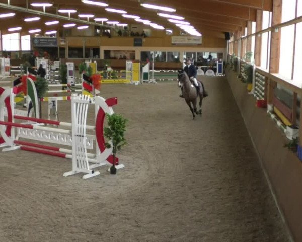 Reitturnier Dettingen 2020