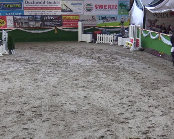 Reitturnier Keppeln - Reitanlage "Hötzenhof" 2020