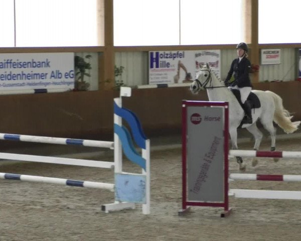 Reitturnier Dettingen 2020